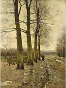 A Woman On A Path In A Forest Landscape A Woman On A Path In A Forest Landscape