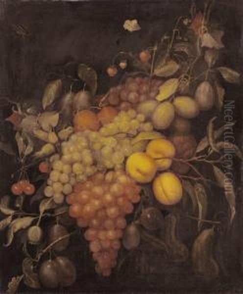 Still Life - view 1