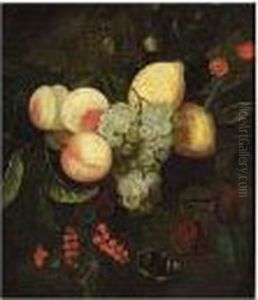 Prunes, And A Peacock Butterfly by Joris Van Son