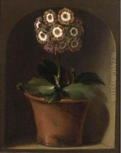 An Auricula In A Pot In A Niche