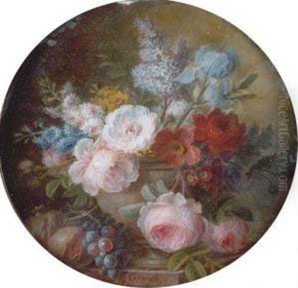 Cabbage Rose, White Rose - view 1