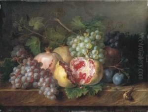 Pomegranates, Grapes And Plums With A Snail And A Caterpillar On Amarble Ledge by Cornelis van Spaendonck