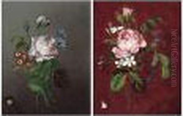 Flower Studies - view 1