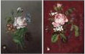 Flower Studies