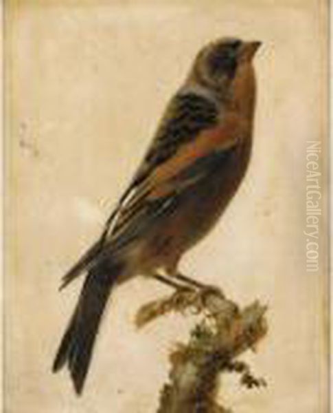 Oiseaux Sur Une Branche 
[attributed To Gerard Van Spaendonck ; Birds On A Branch ; Oil On Marble
 ; A Pair] - view 1