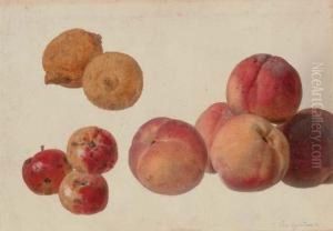 A Study Of Peaches, Lemons And Crabapples A Study Of Peaches, Lemons And Crabapples
