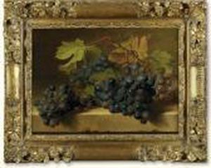 Black Grapes On A Marble Edge Black Grapes On A Marble Edge
