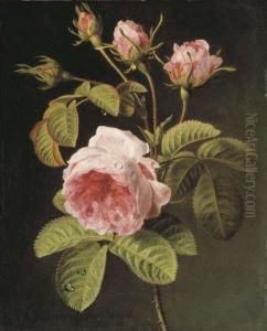 A Sprig Of Pink Cabbage Roses by Gerard Van Spaendonck