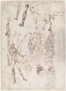 Sheet of studies with men and horses seated man striking an anvil two heads of saints by Francesco di Simone da Fiesole Ferrucci