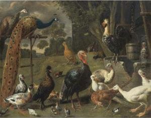 Peacock And Peahen On A Perch, Turkeys, A Pheasant And Poultry By Awell