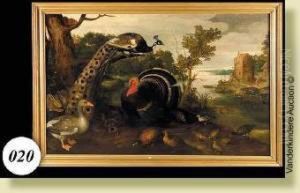 Dindon, Paon, Canard, Oiseaux Et Petits Animaux Au Bordde L'eau