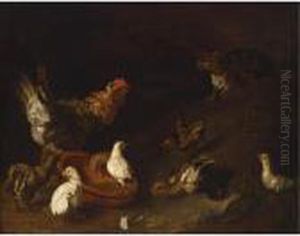 Poultry Near An Earthenware Bowl Together With A Cat Poultry Near An Earthenware Bowl Together With A Cat