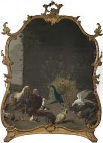 An Assembly Of Birds In An Exterior, Including A Peacock And A Turkey - view 1