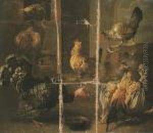 A Turkey And Chickens In A Yard by Adriaen van Utrecht