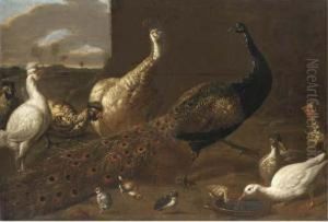 A Peacock, A Peahen, Ducks And Fowl Poultry In A Yard by Adriaen van Utrecht