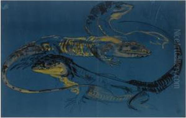 Komodo Lizards - view 1
