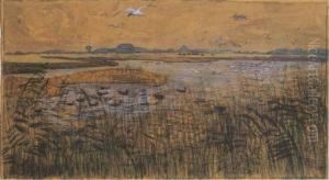 Landschap Op Texel