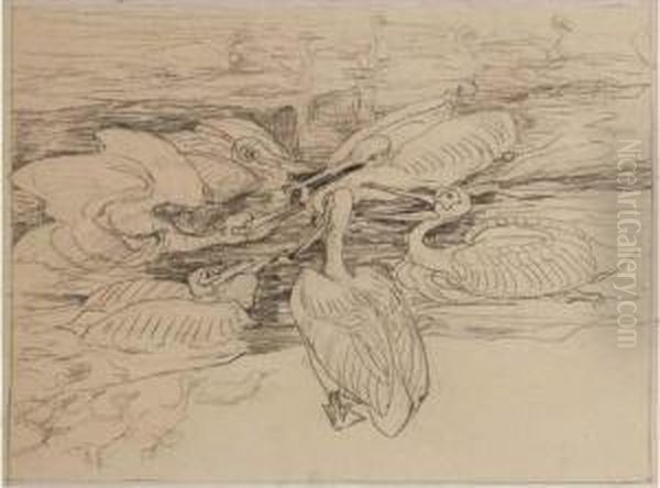 Six Pelicans Fighting Over A Fish - view 1