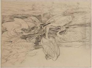 Six Pelicans Fighting Over A Fish