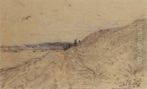 Den Ruige Dijk Texel Achter De Wit