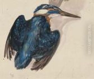 Kingfisher