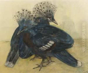 Two Crown Pigeons by Theodorus Van Hoytema