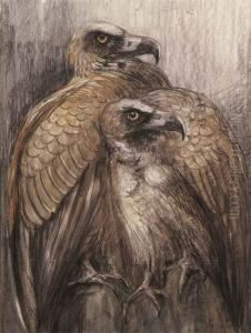 Two Bearded Vultures