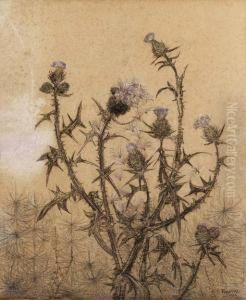 Thistles