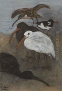 Curlews by Theodorus Van Hoytema