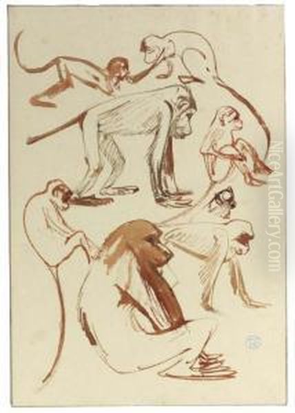 Studies Of A Baboon - view 1