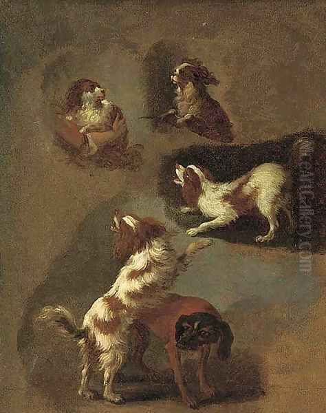 A study of spaniels - view 1