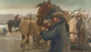 Tending To The Horses On A Rotterdam Quay