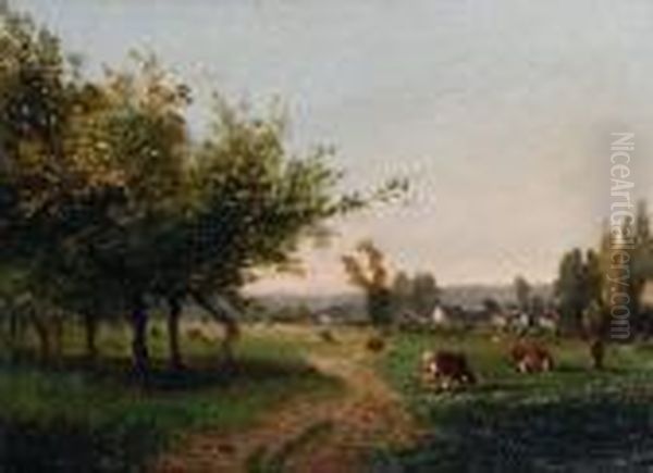 Cows Grazing - view 1
