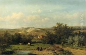 An Extensive Summer Landscape