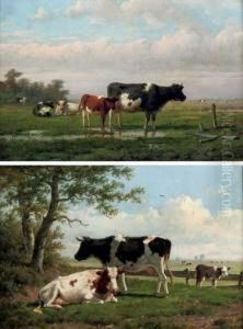 Cattle In A Pasture