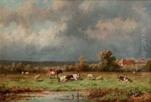Pasturing Cattle
