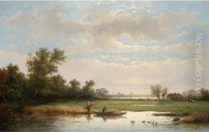 Harvesting The Reeds