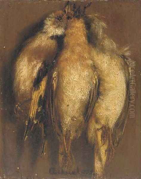 Three dead finches hanging on a nail - view 1