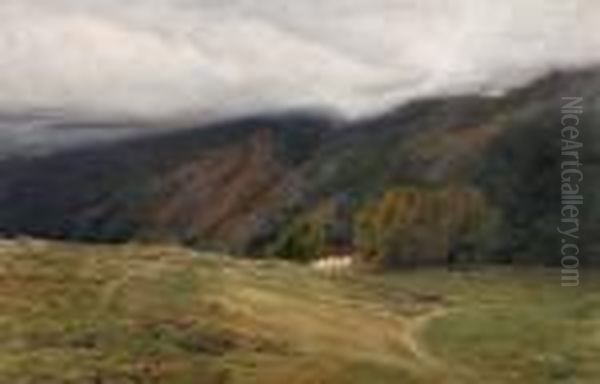 Paisaje De Montana. - view 1