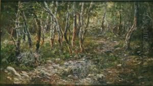 Bosque