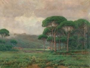 Paisaje. Paisaje.