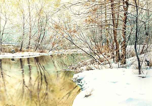A snowy river landscape - view 1