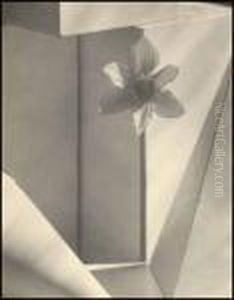 Spring by John A. Vanderpant