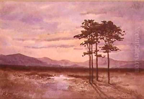 Sunset County Sligo - view 1