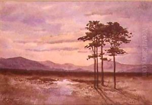 Sunset County Sligo by William Percy French