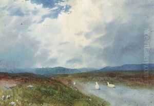 Ducks by William Percy French
