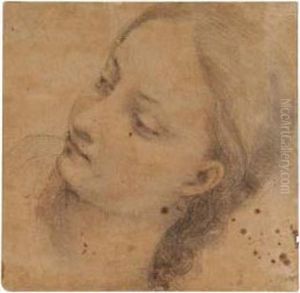 A Study For The Head Of The Virgin