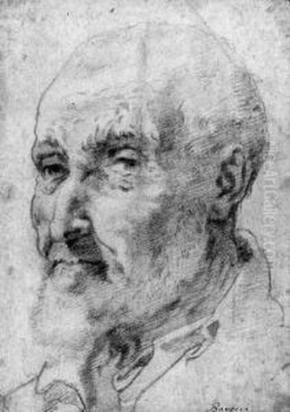 The Head Of A Bearded Man - view 1