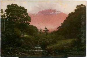 Mount Wellington from Cascades by Capt. John Haughton Forrest