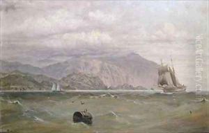 Southslack Lighthouse Tasmania by Capt. John Haughton Forrest